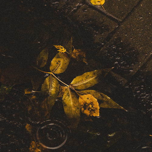 Photo #14115126