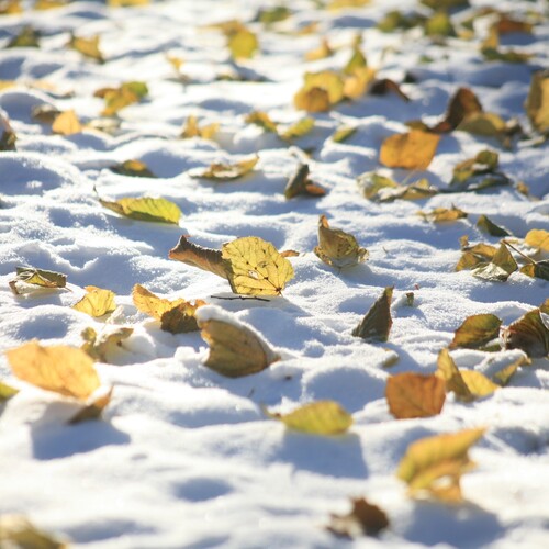 Photo #14115200
