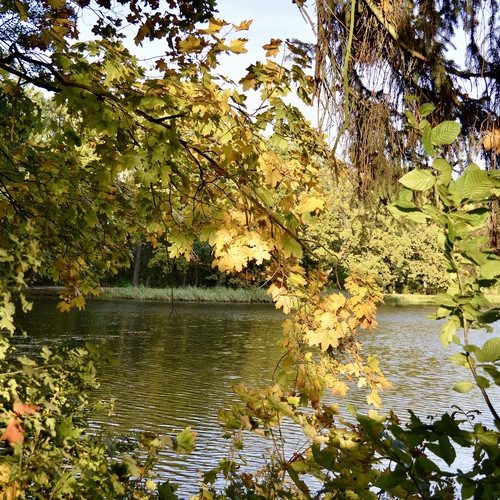 Photo #14115376