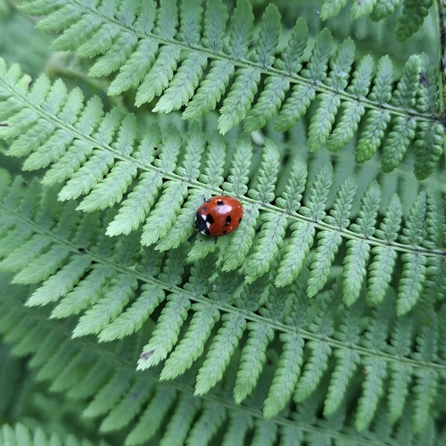 Photo #14115386