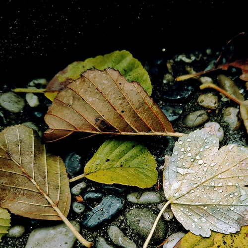 Photo #14115443