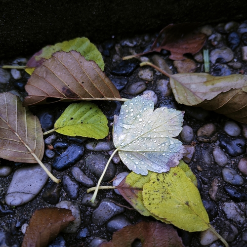 Photo #14115446