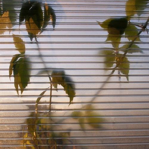 Photo #14115459