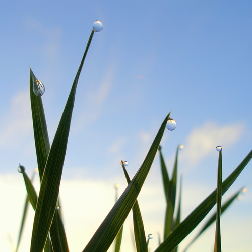 Photo #14115460