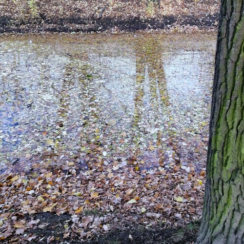 Photo #14115470