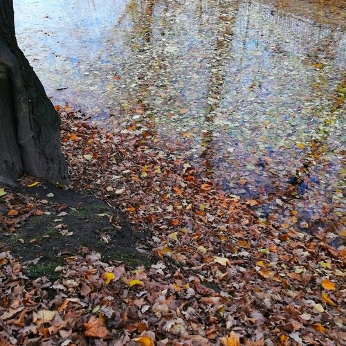 Photo #14115475