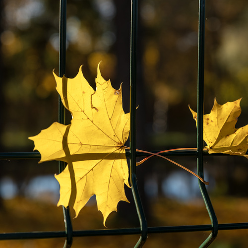 Photo #14115568