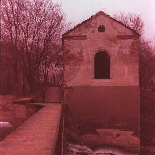 Photo #14115583
