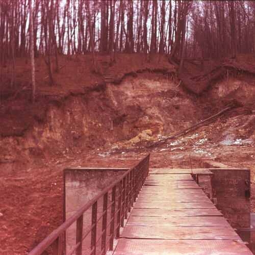Photo #14115584