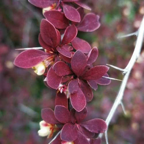 Photo #14115685
