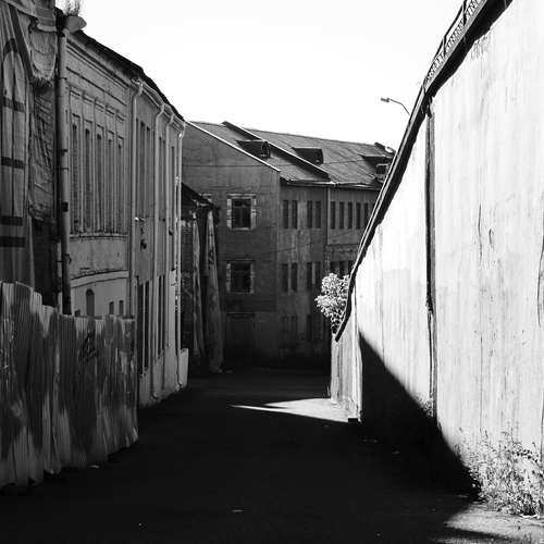 Photo #14115728