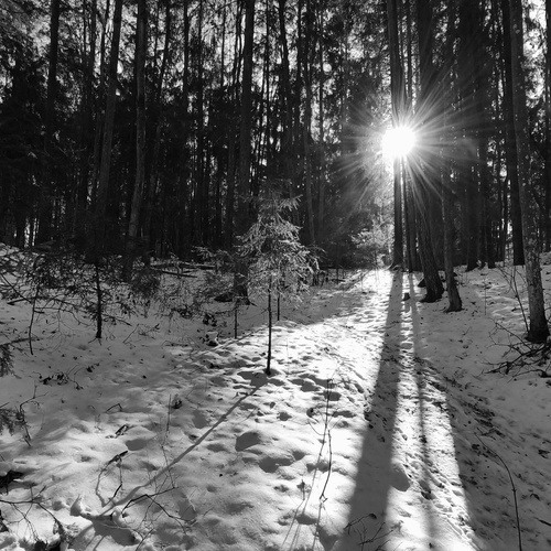 Photo #14115767