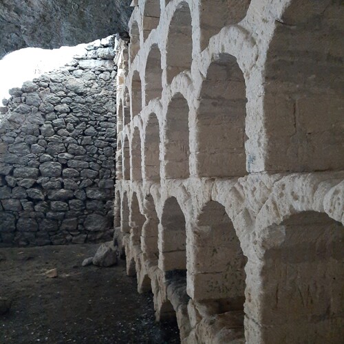 Photo #14115817