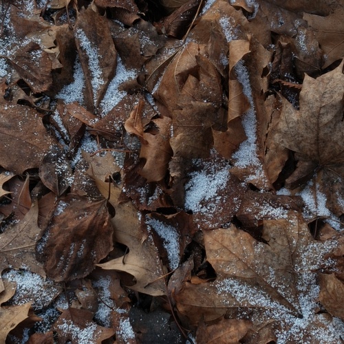 Photo #14115839