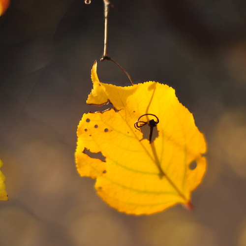 Photo #14115868