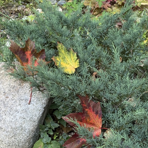 Photo #14115946