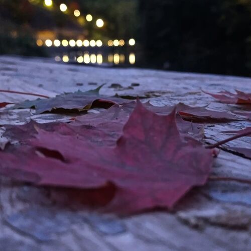 Photo #14116082
