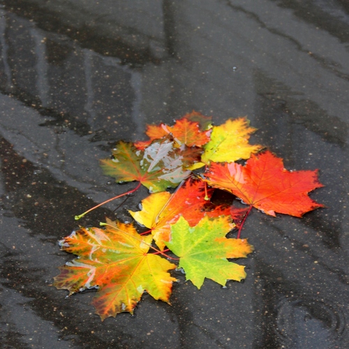 Photo #14116102