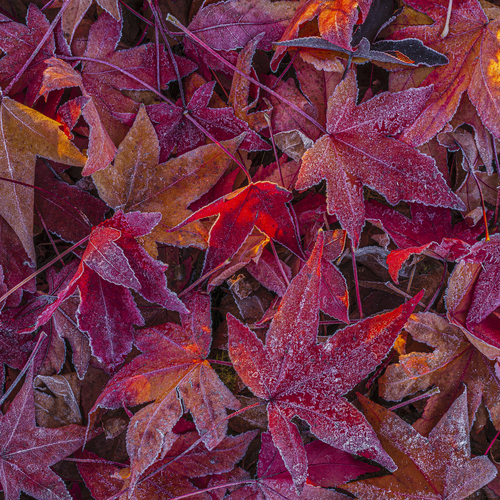 Photo #14116124