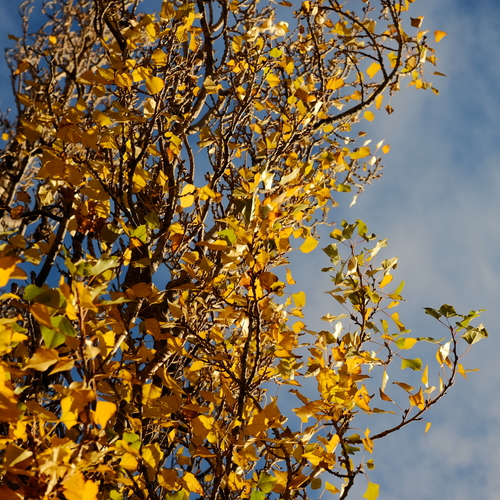 Photo #14116202
