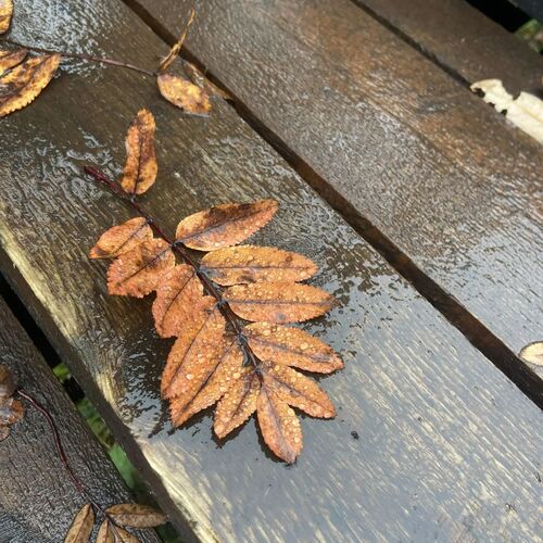 Photo #14116237