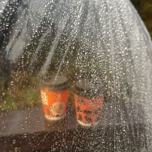 Photo #14116244