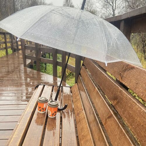 Photo #14116246