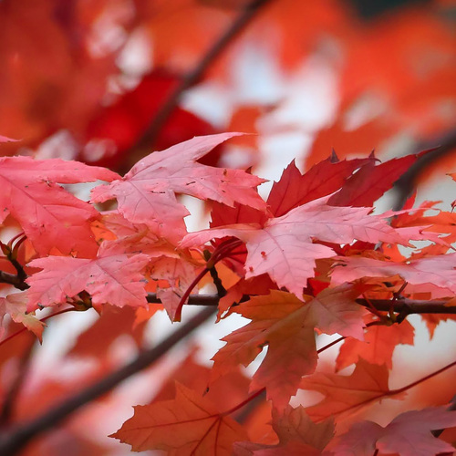 Photo #14116290