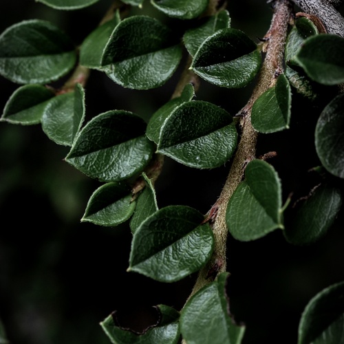 Photo #14116332