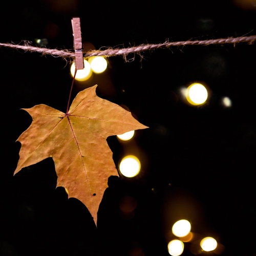 Photo #14116343