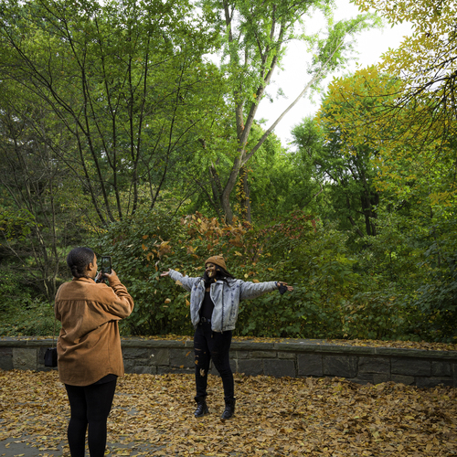 Autumn at Central Park