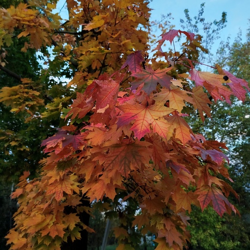 Photo #14116359