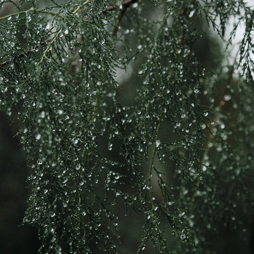 Photo #14116431