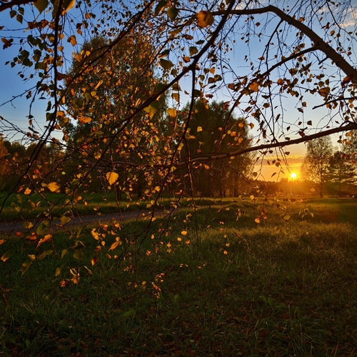 Photo #14116439