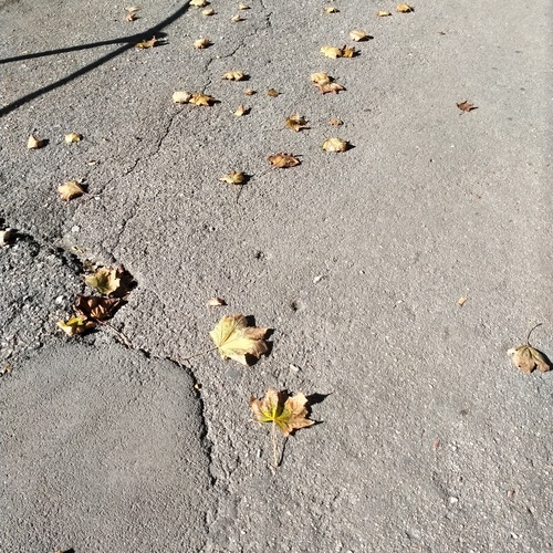 Photo #14116514