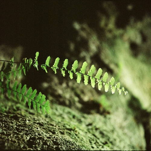 Photo #14116668
