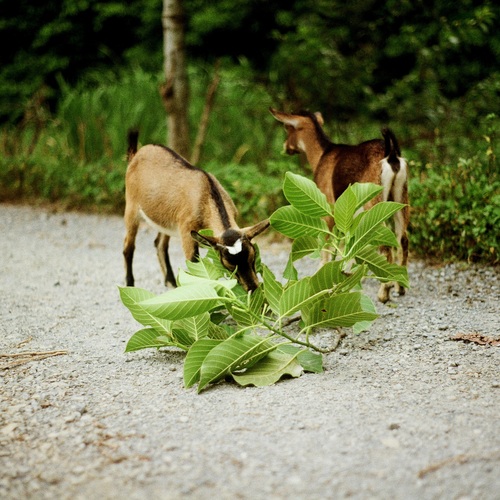Photo #14116669
