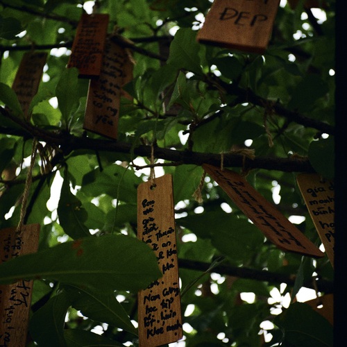 Photo #14116670