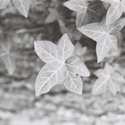 Photo #14116671