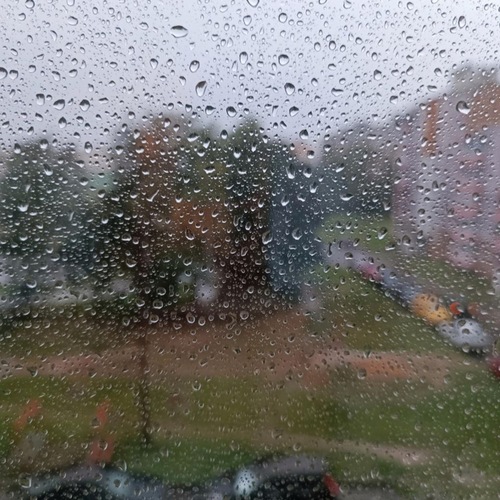 Photo #14116699