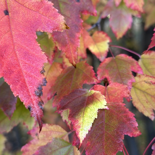 Photo #14116724