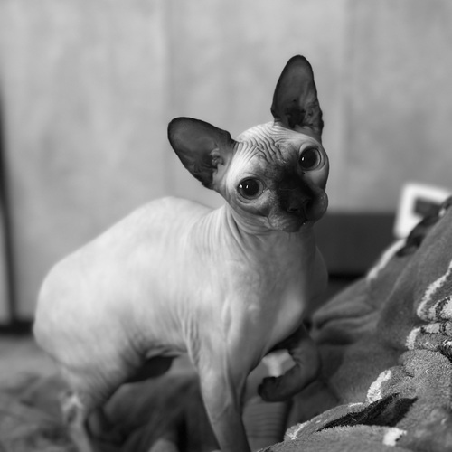 Photo #14116743