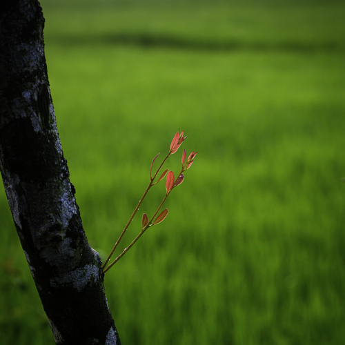 Photo #14116747