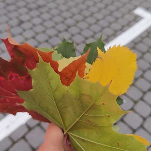 Photo #14116771