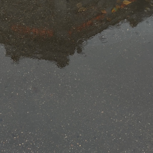 Photo #14116803