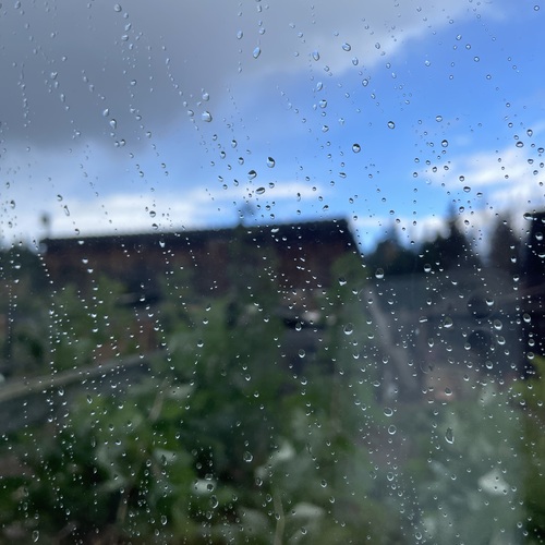 Photo #14116804