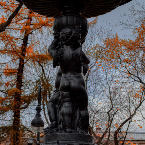 Photo #14116829