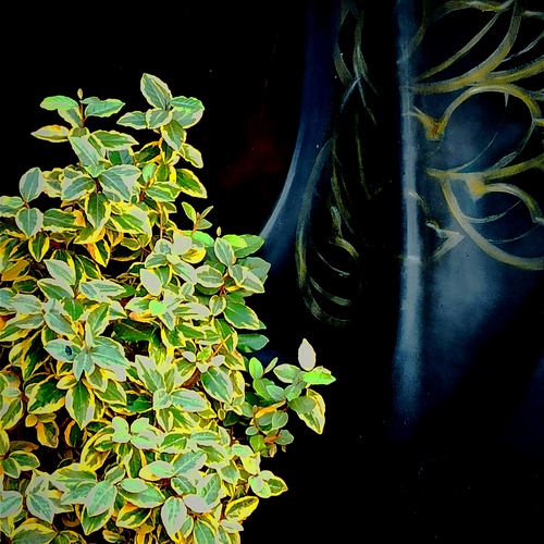 Photo #14116931