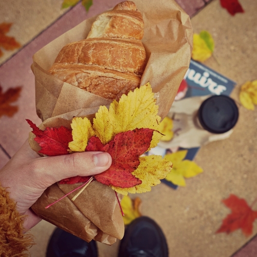 Photo #14116945