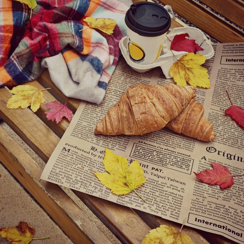 Photo #14116946